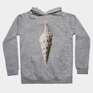 Tiny Seashell Hoodie